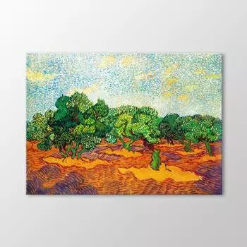 Оливковая роща Бледно-голубое небо, 1889 Картина