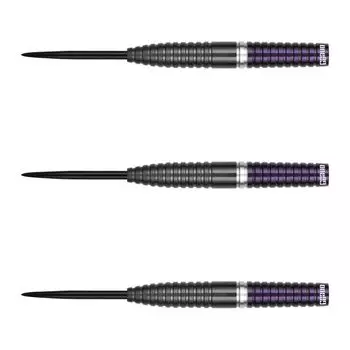 One80 Damian Mol STEEL 24g Damian Mol набор дротиков для модели игрока