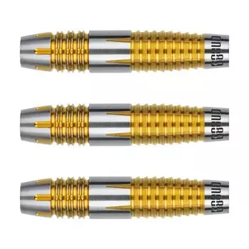 One80 Peter Machin 2BA 18g Peter Machin модель игрока дротики бочка набор дротиков версия 2