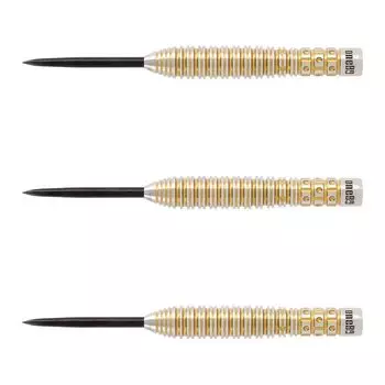 One80 Ricardo Perez STEEL 24g Ricardo Perez модель игрока дротики бочка набор дротиков