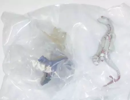 One Coin Figure Series Dragon Chronicle Vritra Karon color Single item & (different ver.)