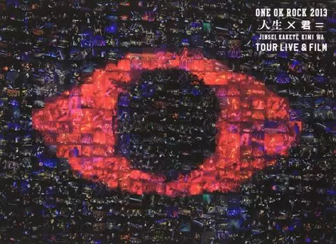 ONE OK ROCK 2013 x TOUR “Life Kimi” LIVE&FILM [DVD]