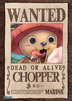 One Piece 500 pieces bounty 50 berries 500-129