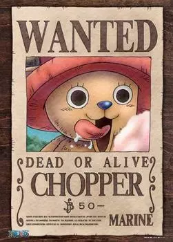 One Piece 500 штук баунти 50 ягод 500-129
