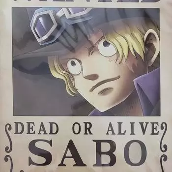 One Piece Sabo Navy Official Order Straw Hat Store A3 Poster