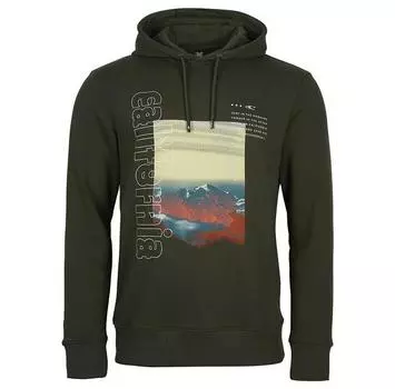 Oneill Cali Mountains худи M