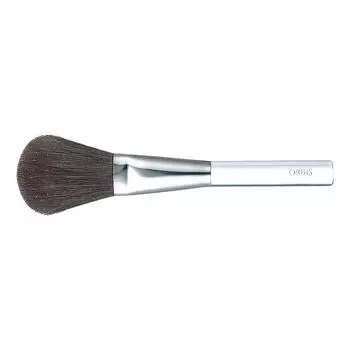ORBIS finishing brush