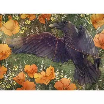 Орел 5d Diy Алмазная вышивка Полная круглая алмазная картина 20X30CM