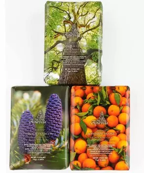 Органическое крем-мыло | Beauty Bath Savon для мужчин и женщин с эфирными маслами и без пальм. Роскошь для кожи - сосновая смола, хурма, камфора и апельсин. 3 x 75g (Pack of Three)