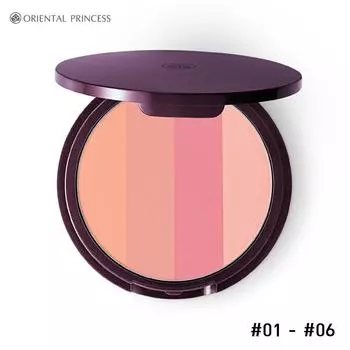ORIENTAL PRINCESS Beneficial Gradation Compact Cheek Color № 01, 02, 03A, 04A, 05, 06 12 г 12 g