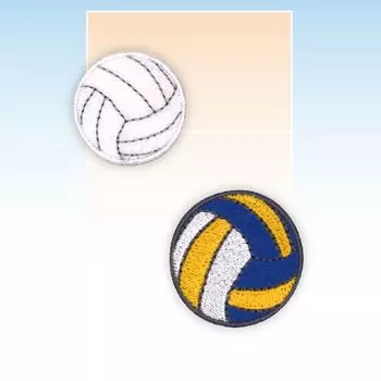 Оригинальная спортивная нашивка Pioneer [Волейбол] RG450-25047