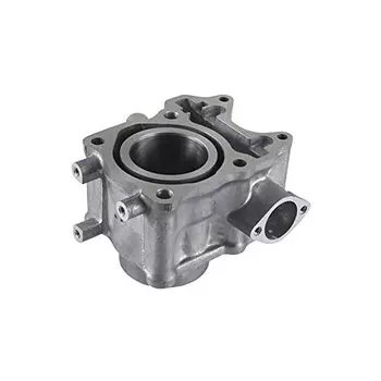 Оригинальные запчасти Honda PCX125 JF28 Цилиндр COMP 12100-KZR-600 990747 990747