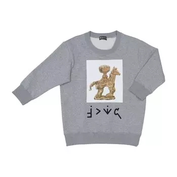 Оригинальный круглый свитшот Pokemon Center Freeze Souvenir L
