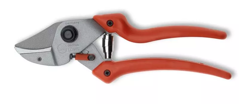 Оригинальный лев №7107