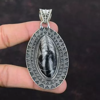 Orthoceras Ископаемый кулон ручной работы Новые ювелирные изделия из стерлингового серебра 925 пробы Винтажный кулон Высококачественный драгоценный камень ювелирный подарок для жены