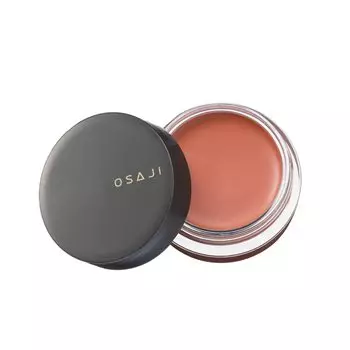 OSAJI Nuance Face Color цвет, который сливается с цветом, который растекается и 04 Нелипкий / Прозрачный, увлажняющий, кожа, сияет 5,5 г /
