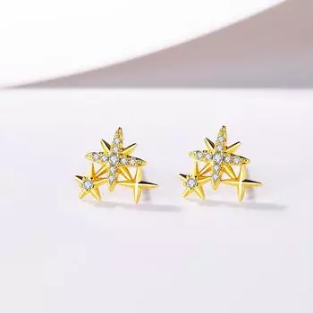Осень и зима Новые серьги-гвоздики в форме звезды Женские корейские версии Светлые роскошные серьги-гвоздики из циркония со звездами