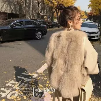 Осень и зима новый искусственный мех лисы искусственный меховой жилет короткий меховой жилет корейская версия тонкий плюшевый жакет S