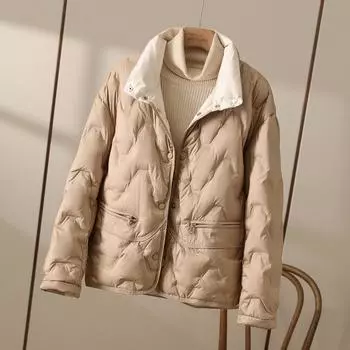 Осень и зима новый легкий пуховик женский короткий контрастного цвета воротник-стойка модный приталенный теплый белый пуховик прилив S светло-серый
