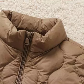 Осень и зима новый пуховик жилет женский короткий воротник стойка повседневный легкий жилет теплый большой размер безрукавка M (within 50 kg) серый