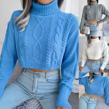 Осень/Зима 2023, короткий пуловер с длинным рукавом и высоким воротником из жареного теста L серый