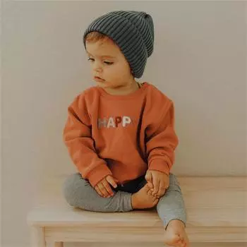Осенне-зимний комплект одежды для маленьких мальчиков, толстовка с длинными рукавами и буквенным принтом, топы 73