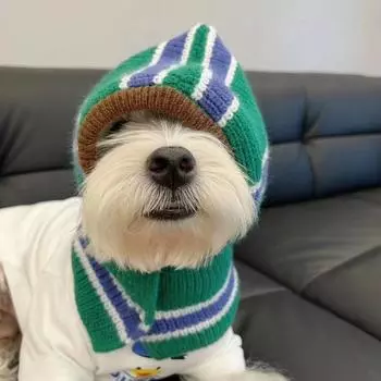 Осенне-зимний шарф с капюшоном для собак Зимний теплый плащ Плюшевые мишки Шнауцер Маленький шерстяной нагрудник Шапки для собак Аксессуары для щенков S