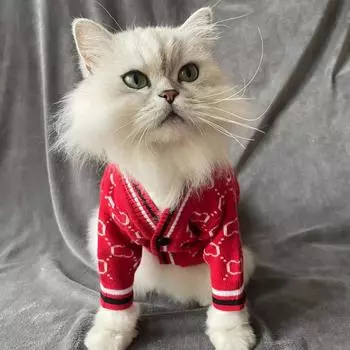 Осенне-зимний теплый свитер бренда Tide для домашних животных, одежда для кастрации кошек, одежда для собак, одежда для плюшевых игрушек S абрикосовый