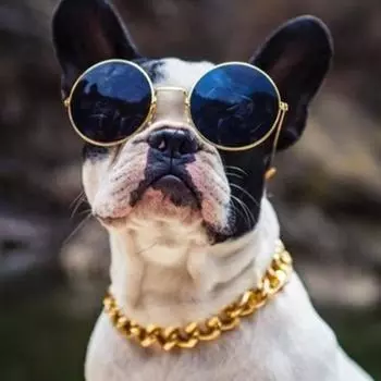 Ошейник-цепочка, регулируемый, панк, распродажа, для кошек и собак, крутые аксессуары для домашних животных, 36 см, бусины для аксессуаров для домашних животных золотой