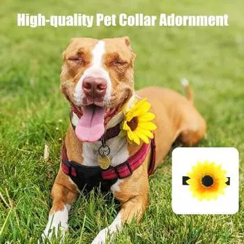 Ошейник для домашних животных, аксессуар, застежка, лента, изысканный ошейник для домашних животных, украшение в виде подсолнуха для уличной вечеринки, свадьбы