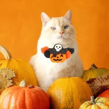 Ошейник для домашних животных на Хэллоуин, милый дизайн тыквы, летучей мыши, черепа, меховой шарик, ошейник для собаки, эластичное ожерелье для щенка, аксессуар для косплея для домашних животных L оранжевый
