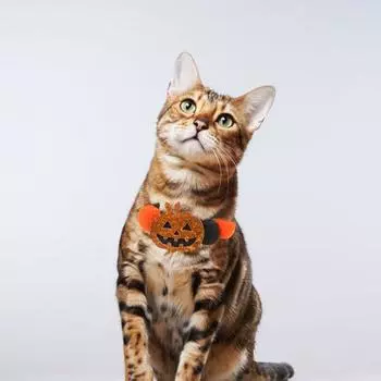 Ошейник для домашних животных на Хэллоуин, милый дизайн тыквы, летучей мыши, черепа, меховой шарик, ошейник для собаки, эластичное ожерелье для щенка, аксессуар для косплея для домашних животных L оранжевый