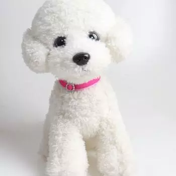 Ошейник для домашних животных, привлекательный износостойкий полиэстер, средний ошейник для собак и кошек, аксессуары для домашних животных B чёрный