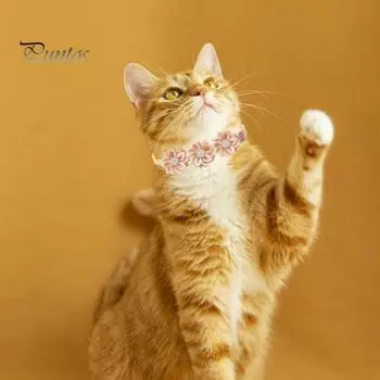 Ошейник для домашних животных Регулируемый мягкий удобный ремешок на шею для домашних животных Цветочный декор со стразами Ошейник для кошек и собак Товары для домашних животных зелёный