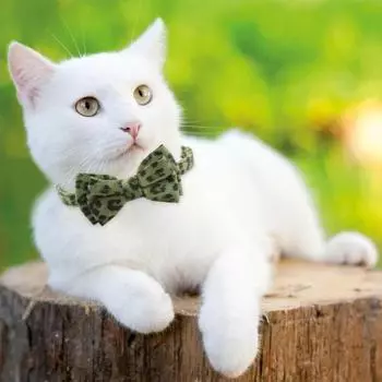 Ошейник для домашних животных с леопардовым принтом и колокольчиком, легкая тканевая цепочка для кошек, масштабируемая ошейник для кошек и маленьких собак коричневый