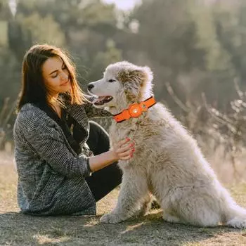 Ошейник для домашних животных с водонепроницаемым GPS-трекером. Отслеживание местоположения собак в реальном времени. Длительный срок службы батареи. Регулируемый ошейник для домашних животных. оранжевый