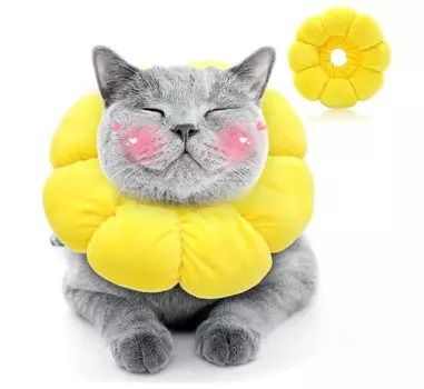 Ошейник для кошек и собак Elizabeth, товары для животных, регулируемый, мягкая ткань, ультралегкий, дышащий, милый, в форме подсолнуха, для ухода за домашними животными, ошейник для защиты от царапин