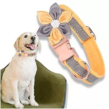 Ошейник для кошек Kalevel, мягкий, с пряжкой безопасности для кошек, без колокольчика, милый, стильный, с функцией безопасности, для кошек, стильный, легкий, мягкий