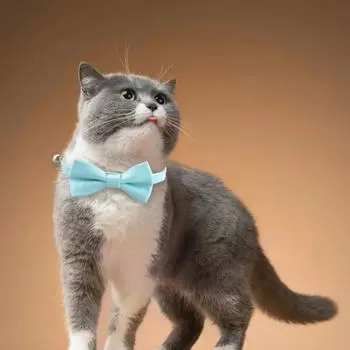 Ошейник для кошек, регулируемый галстук-бабочка из искусственной кожи, ошейник для домашних животных для котят, кошек и щенков, выпускной, свадьба, день рождения, ошейник для вечеринки с медным колокольчиком золотистый