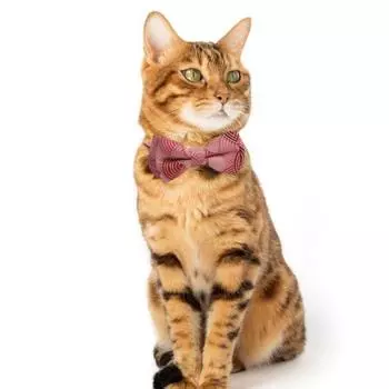 Ошейник для кошек с галстуком-бабочкой и колокольчиком из ткани с принтом в японском стиле, ожерелье для домашних животных, регулируемые безопасные шейные ошейники разных цветов для маленьких собак и кошек синий