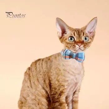 Ошейник для кошек в клетку с колокольчиком, шейный платок для домашних животных с отворотом-бабочкой, треугольный шарф, ошейник в британском стиле для маленьких собак и кошек B