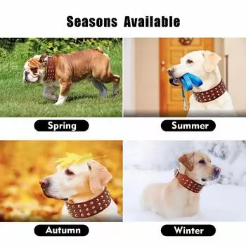 Ошейник для мопса, кожаный, с регулируемыми шипами, ошейник для маленьких, средних и больших собак, черный, коричневый, для буйволов, coleira XS чёрный