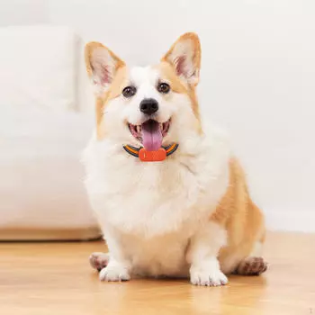 Ошейник для отслеживания собак Портативный умный GPS для домашних животных для фитнеса на открытом воздухе пикника оранжевый