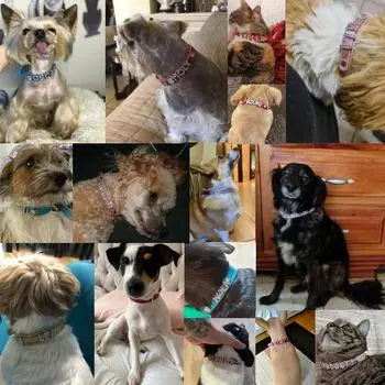 Ошейник для собак со стразами, персонализированный, сделай сам, имя, телефон, собака, индивидуальное ожерелье, кожаные ошейники для собак, аксессуары для собак XS розовый