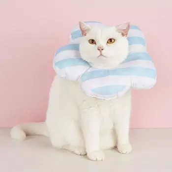 Ошейник для восстановления питомца Регулируемый шнурок Цветок Кошка Конус для предотвращения лизания Мягкие елизаветинские ошейники M фиолетовый