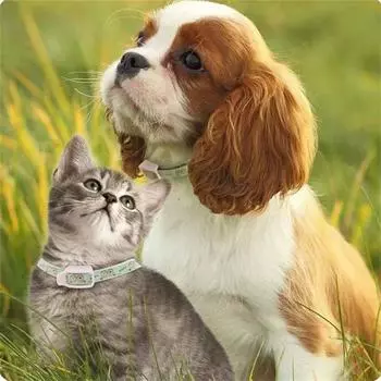 ошейник для защиты от кошек и собак, регулируемый ошейник от комаров и блох, ошейник для домашних животных, защищающий от насекомых, наружный ошейник с эфирными маслами S зелёный