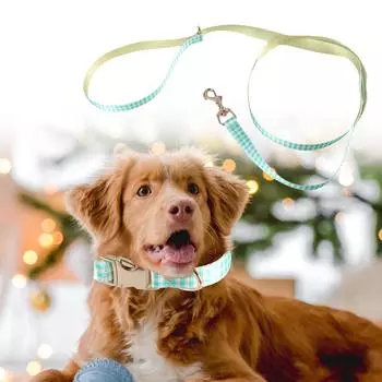 Ошейник и поводок для собак, комплект, зеленый, милый, в клетку, ошейник, веревка, 4 фута длиной, для дрессировки домашних животных, прогулок, плавания, походов XS