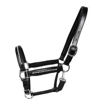 Ошейник-недоуздок из прозрачной кожи с подкладкой, все размеры и цвета. Extra Full(Extra Large) чёрный