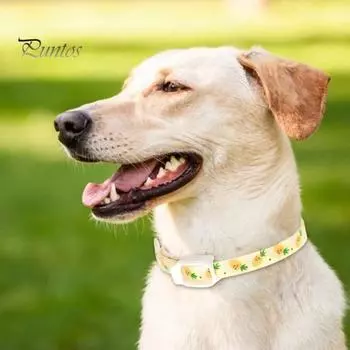 Ошейник от блох, эффективный регулируемый водонепроницаемый ошейник с принтом от блох и клещей для маленьких, средних и больших собак, кошек, щенков, товары для домашних животных S жёлтый