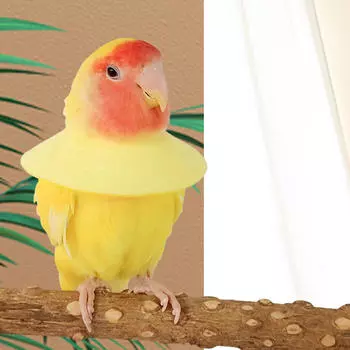 Ошейник против укуса попугая для восстановления волнистого попугайчика и кореллы S